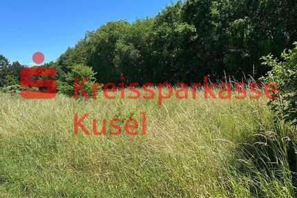 Grundstück Schönenberg-Kübelberg Kübelberg - 315.000&euro; | Angebot:27033913