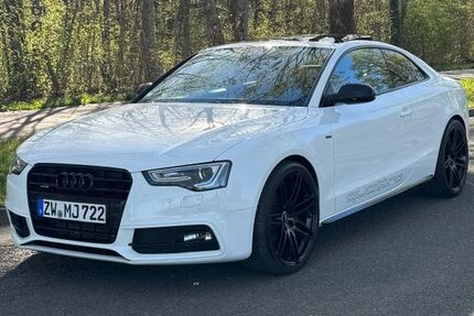 Audi A5 166.800 km 17.200 &euro; Zweibrücken 66482