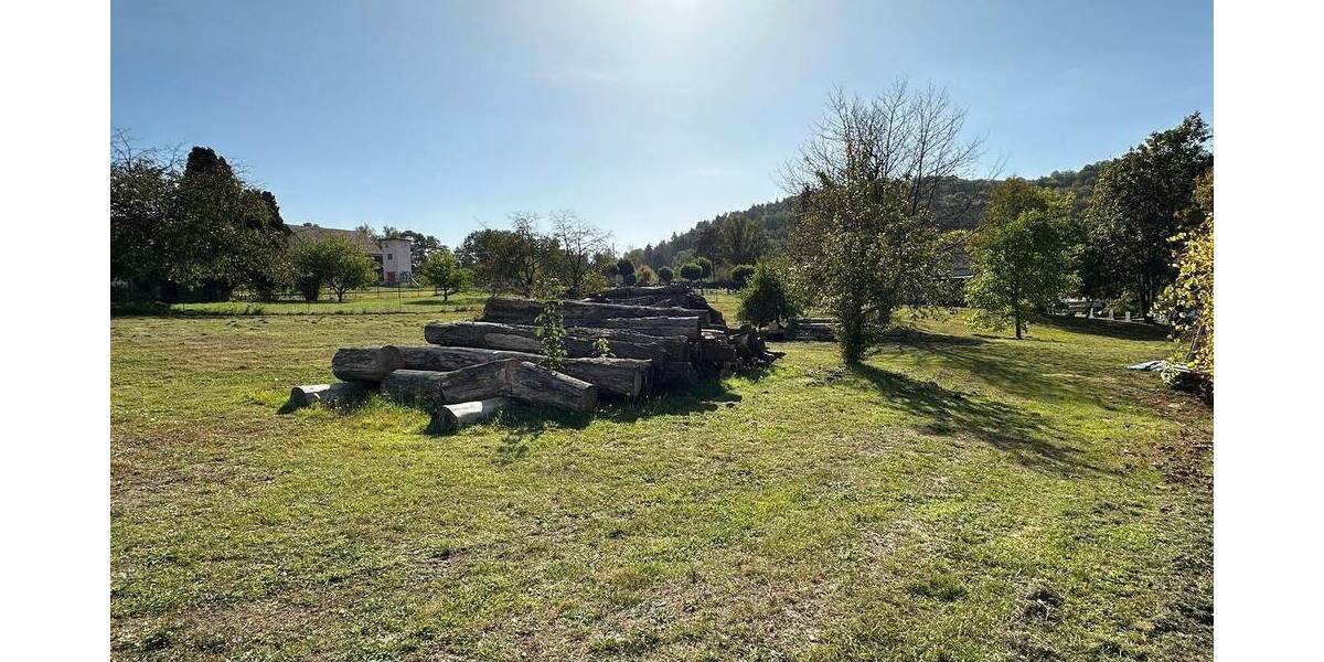 Mehrfamilienhaus, Wohnhaus Eppenbrunn - 1 Zimmer, 335 m&sup2;, 299.000&euro; | Angebot:25741721