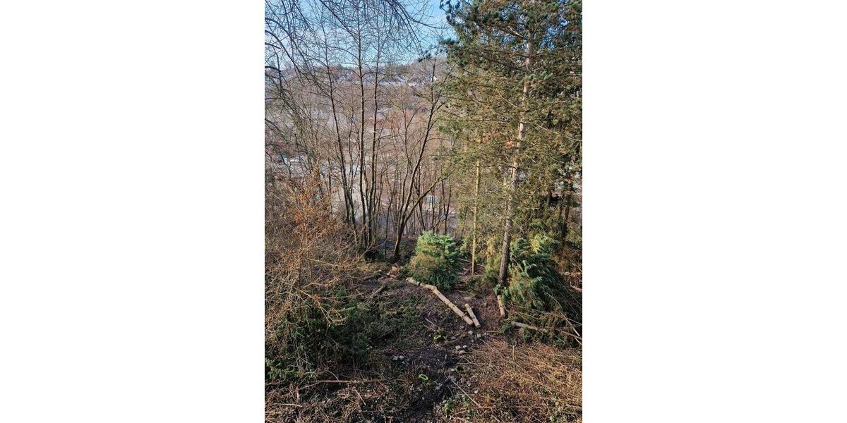 Einfamilienhaus Saarbrücken Malstatt - 6 Zimmer, 130 m&sup2;, 199.000&euro; | Angebot:24559740