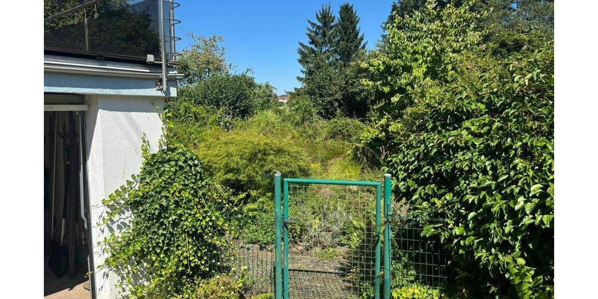 Mehrfamilienhaus, Wohnhaus Niedermohr-Schrollbach Schrollbach - 1 Zimmer, 270 m&sup2;, 348.000&euro; | Angebot:25675952