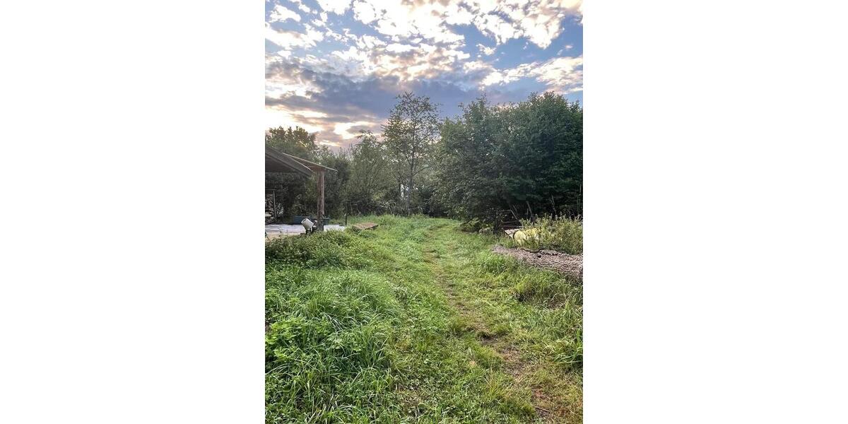 Bauernhaus, Landhaus Mandelbachtal - 8 Zimmer, 220 m&sup2;, 1.250&euro; | Angebot:25852794