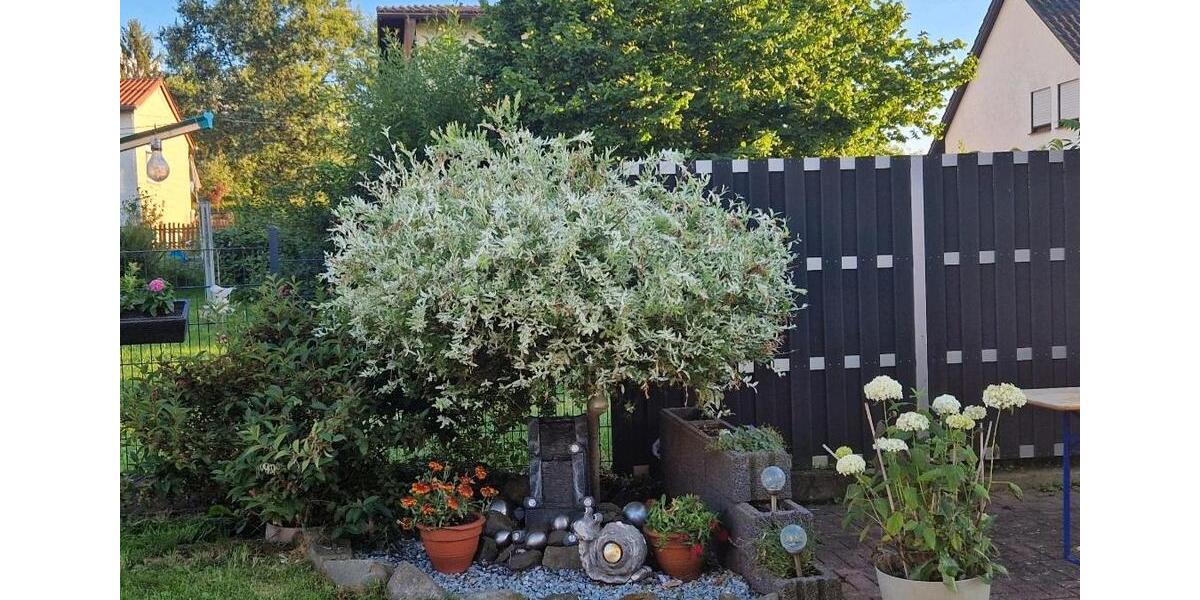 Mehrfamilienhaus, Wohnhaus Neunkirchen Heinitz - 8 Zimmer, 210 m&sup2;, 218.000&euro; | Angebot:25655086