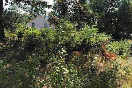 Grundstück Homburg - 588.000&euro; | Angebot:11064447