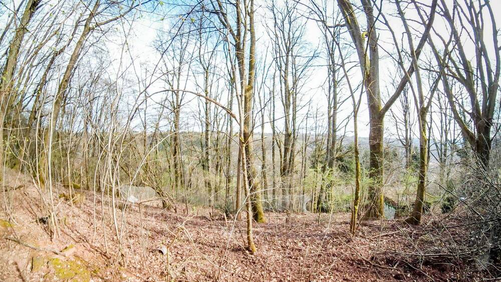 Grundstück Pirmasens Innenstadt - 69.500&euro; | Angebot:25678912