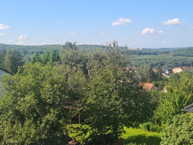 Großzügiges Wohnhaus mit Einliegerwohnung in Höhenlage von Neunkirchen - Einfamilienhaus Neunkirchen | Angebot:17333117