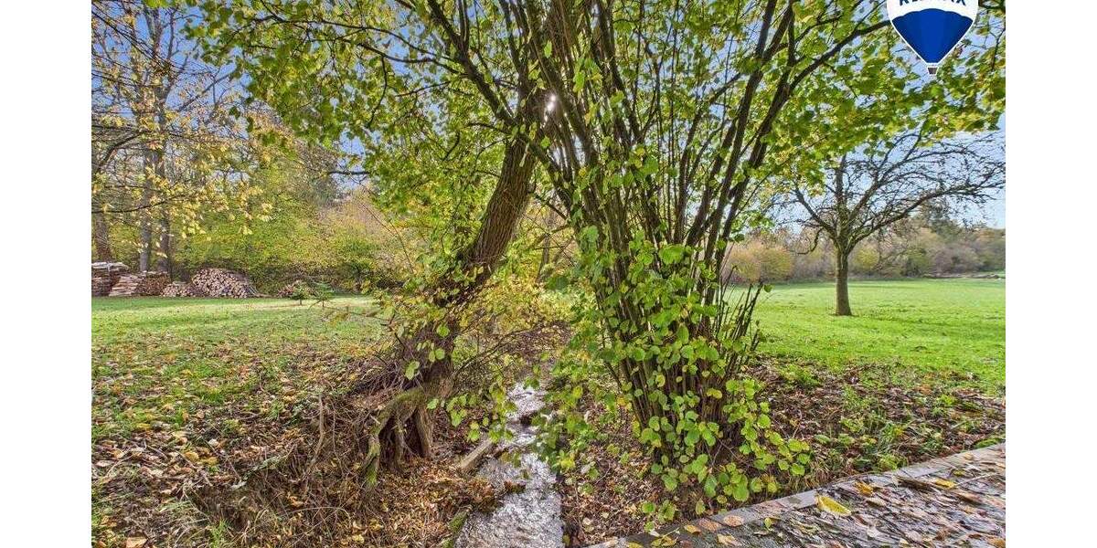 Grundstück Blieskastel / Ballweiler Wecklingen - 95.000&euro; | Angebot:25731407