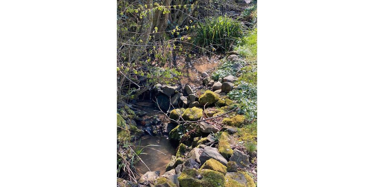 Erdgeschoßwohnung Riegelsberg - 3 Zimmer, 87 m&sup2;, 750&euro; | Angebot:26045002