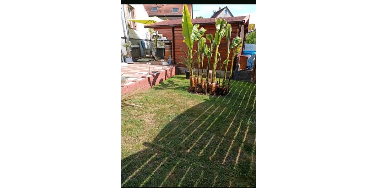 Mehrfamilienhaus, Wohnhaus Schiffweiler - 9 Zimmer, 300 m&sup2;, 233.000&euro; | Angebot:25988430