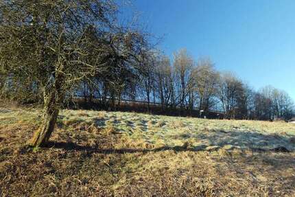 Grundstück Weselberg - 75.000&euro; | Angebot:19462850