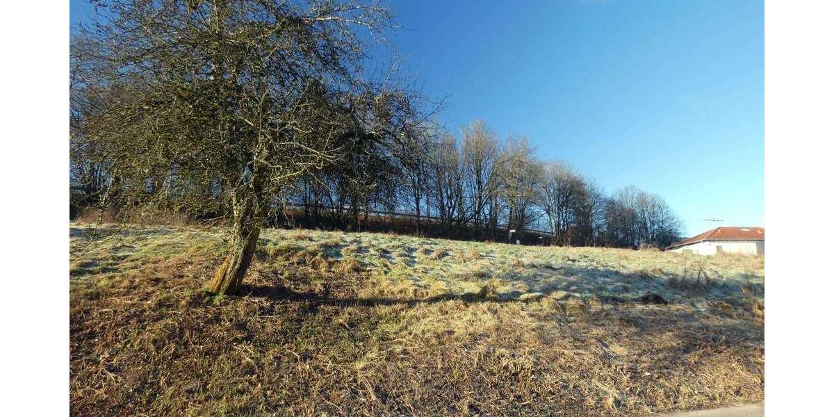 Grundstück Weselberg - 75.000&euro; | Angebot:19462850