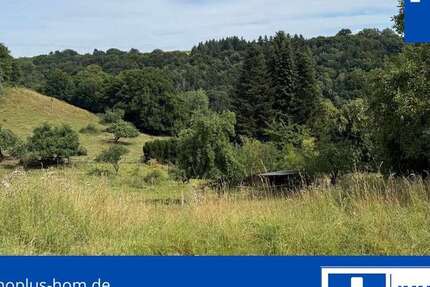 Grundstück Knopp-Labach Labach - 65.000&euro; | Angebot:21729206