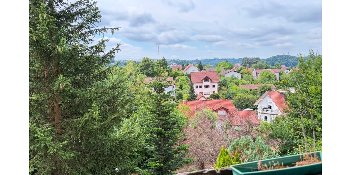 Potenzialstarkes Sanierungsobjekt: Freistehendes Ein- oder Zweifamilienhaus in Waldfischbach - Zweifamilienhaus Waldfischbach-Burgalben Rheinland-Pfalz | Angebot:27178787
