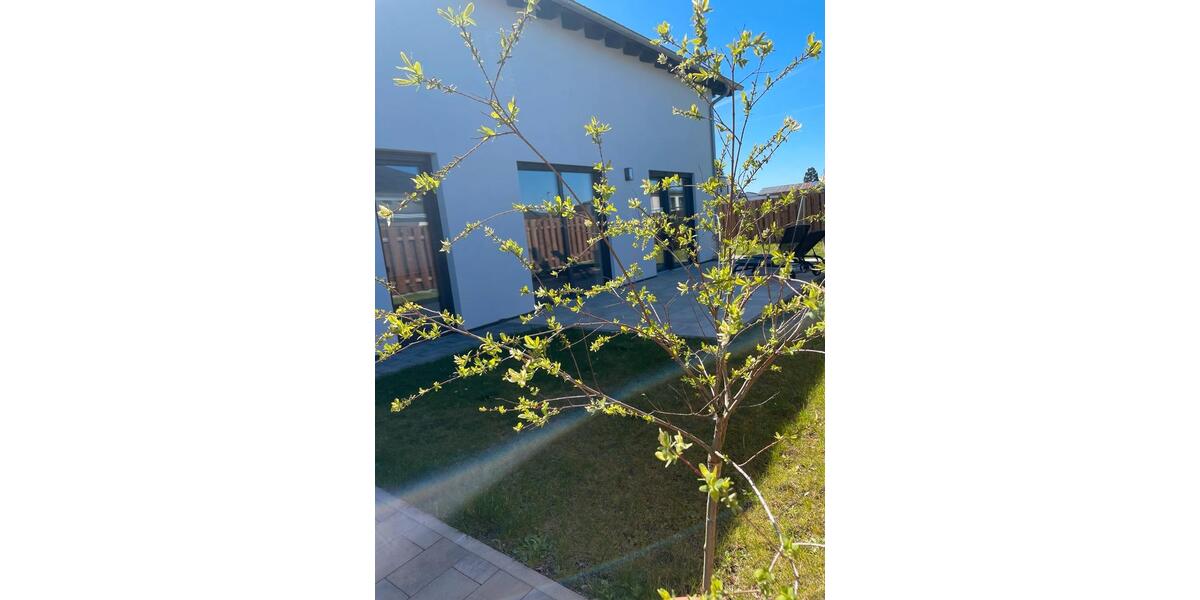 Einfamilienhaus Bruchmühlbach-Miesau Miesau - 5 Zimmer, 202 m&sup2;, 689.000&euro; | Angebot:26103825