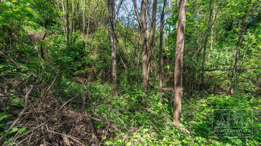 Grundstück Lemberg - 115.555&euro; | Angebot:25668072