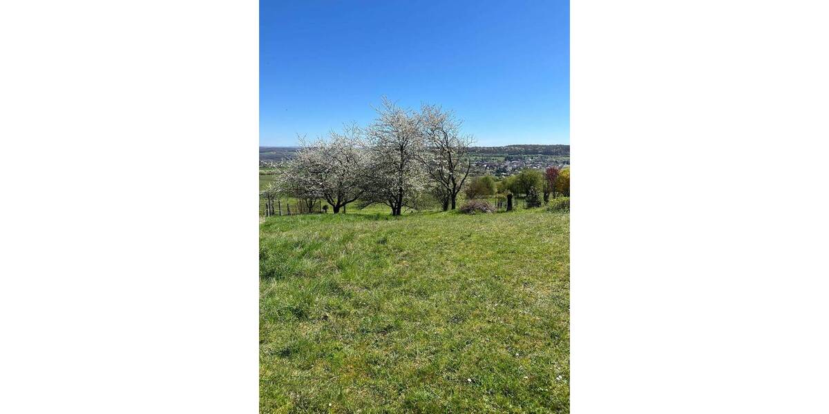 Grundstück Blieskastel Biesingen - 147.800&euro; | Angebot:26154364