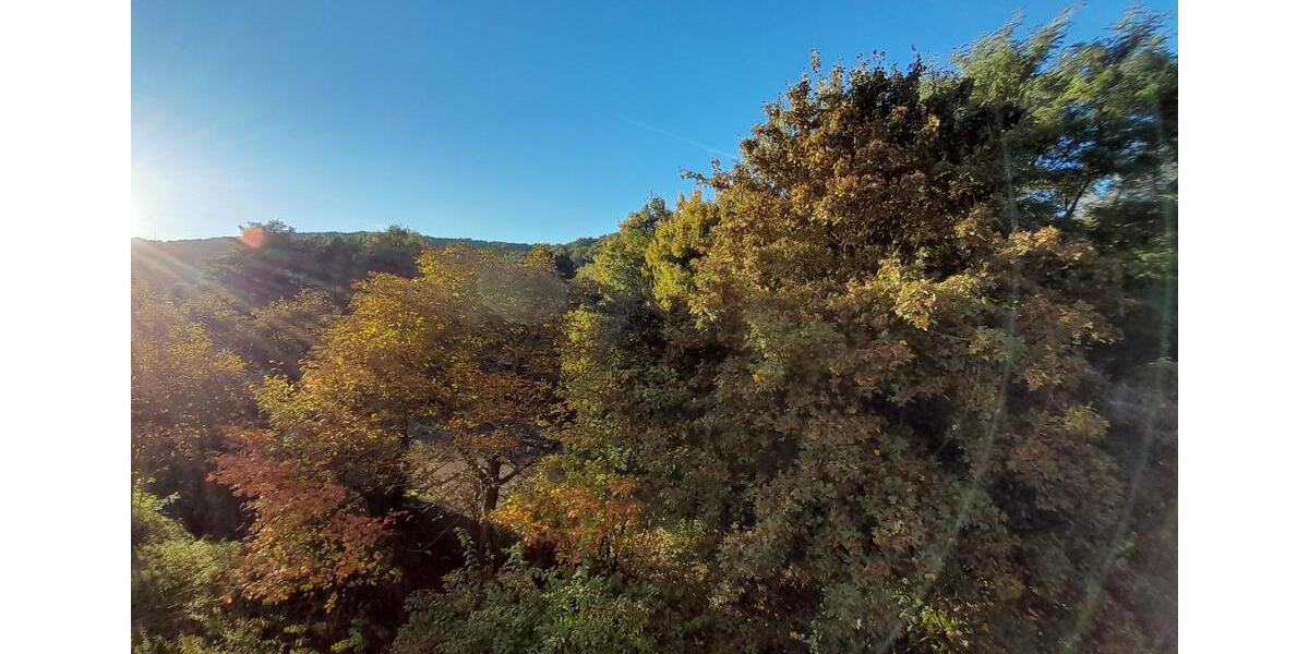 Etagenwohnung Saarbrücken Scheidt - 1 Zimmer, 24 m&sup2;, 57.000&euro; | Angebot:26068804