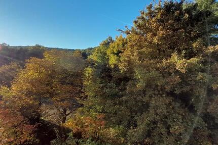 Wohnung Saarbrücken Scheidt - 1 Zimmer, 24 m&sup2;, 57.000&euro; | Angebot:26068804