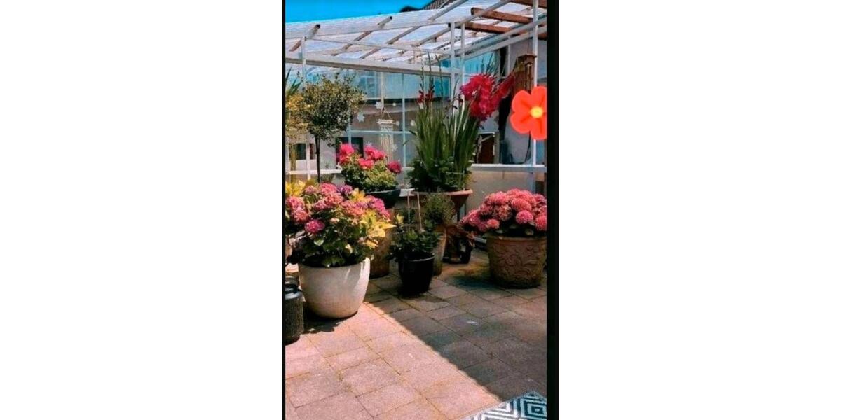 Einfamilienhaus Homburg - 5 Zimmer, 125 m&sup2;, 270.000&euro; | Angebot:27010140