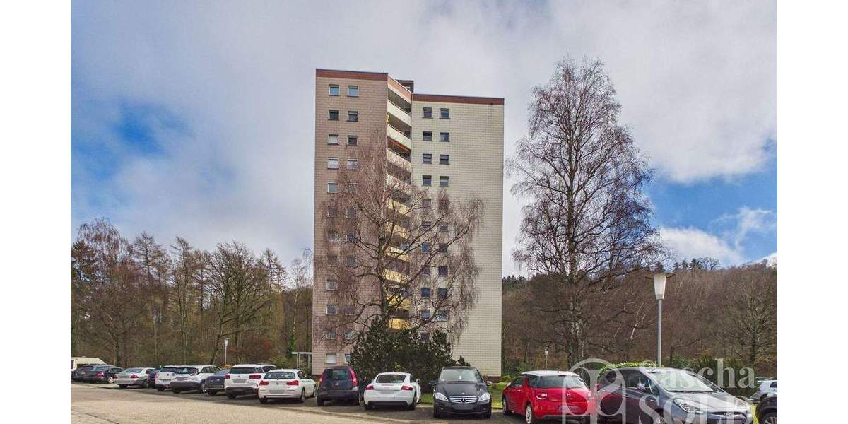 Helle 4ZKB Wohnung in Dudweiler mit Südwest-Loggia, Garage und Weitblick - bezugsbereit - Etagenwohnung Saarbrücken Dudweiler | Angebot:25289682