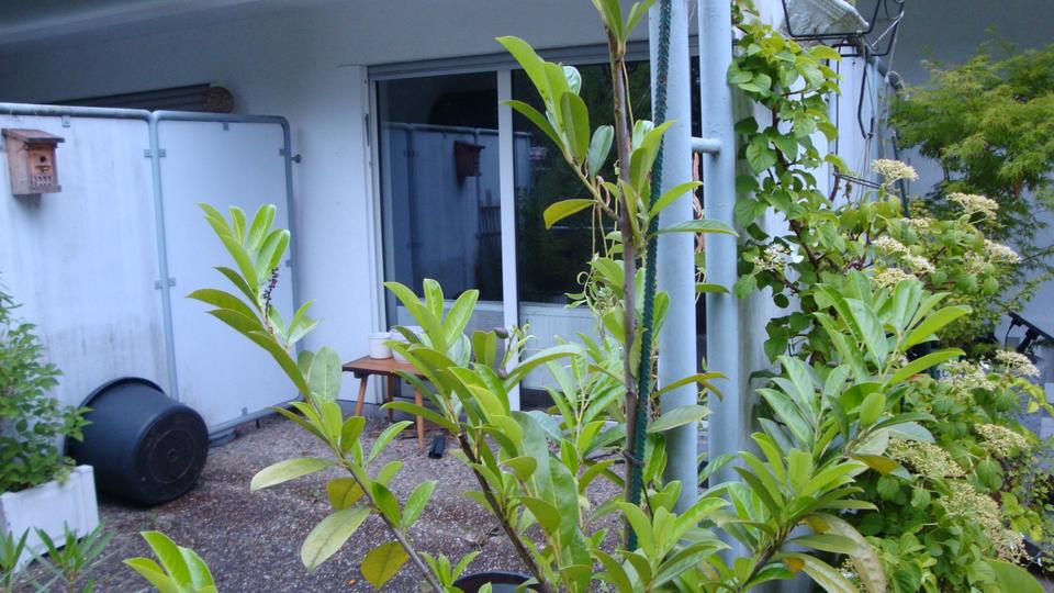 Terrassenwohnung Saarbrücken Kieselhumes - 1.5 Zimmer, 54 m&sup2;, 600&euro; | Angebot:25415237