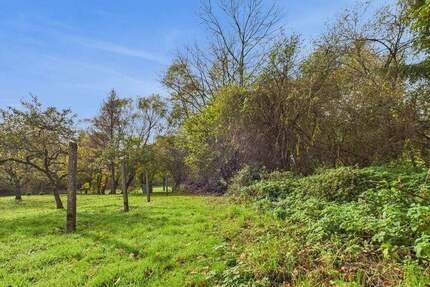 Grundstück Blieskastel / Ballweiler Wecklingen - 95.000&euro; | Angebot:25731407