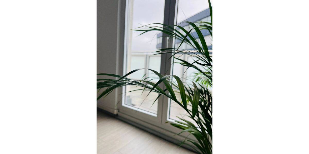 Gewerbeobjekt Saarbrücken St Johann - 199&euro; | Angebot:25711182