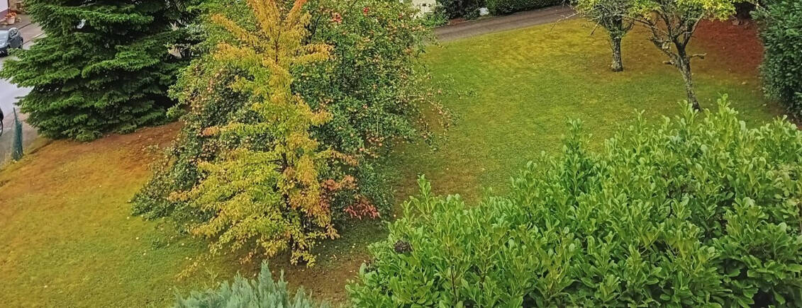 Einfamilienhaus Quierschied / Göttelborn Göttelborn - 5 Zimmer, 144 m&sup2;, 95.000&euro; | Angebot:25940452