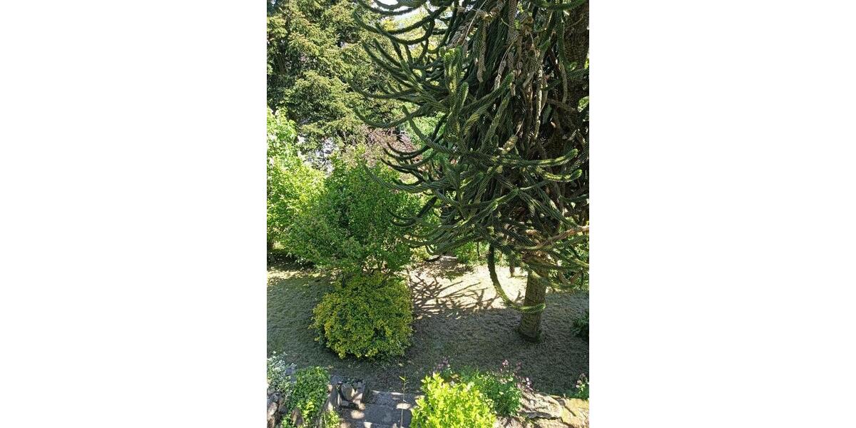 Einfamilienhaus Spiesen-Elversberg Elversberg - 333.000&euro; | Angebot:25318554