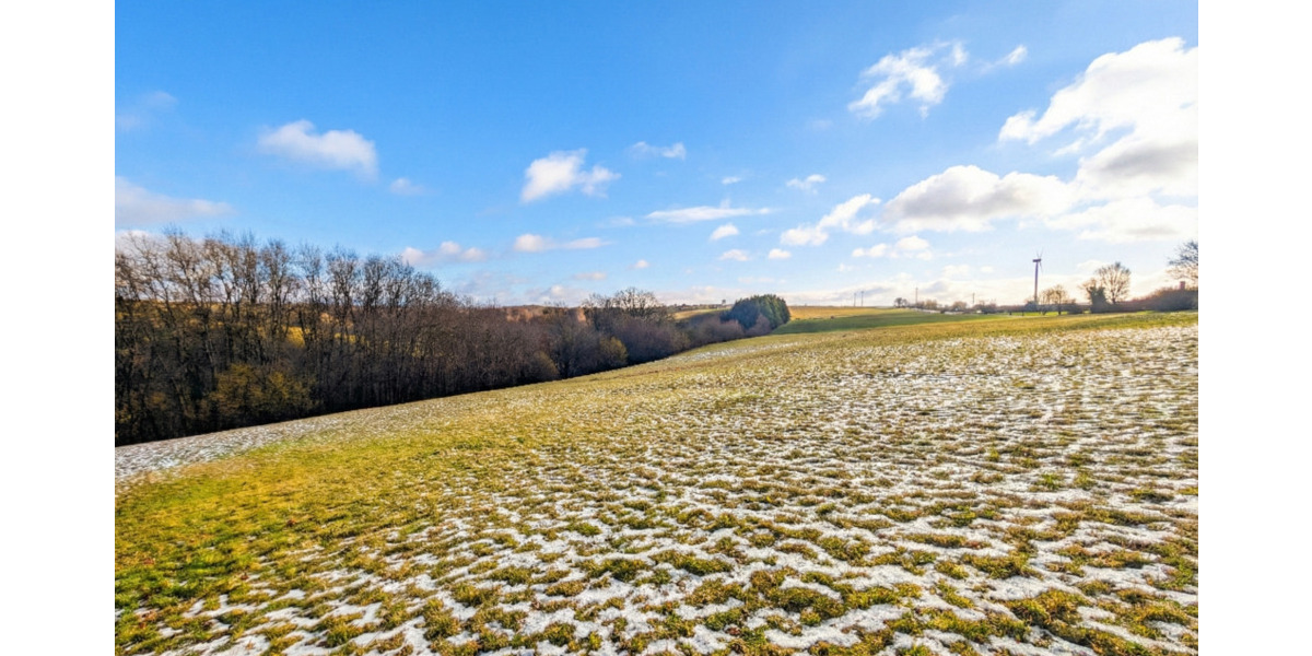 Einfamilienhaus Weselberg - 9 Zimmer, 335 m&sup2;, 498.000&euro; | Angebot:25744092