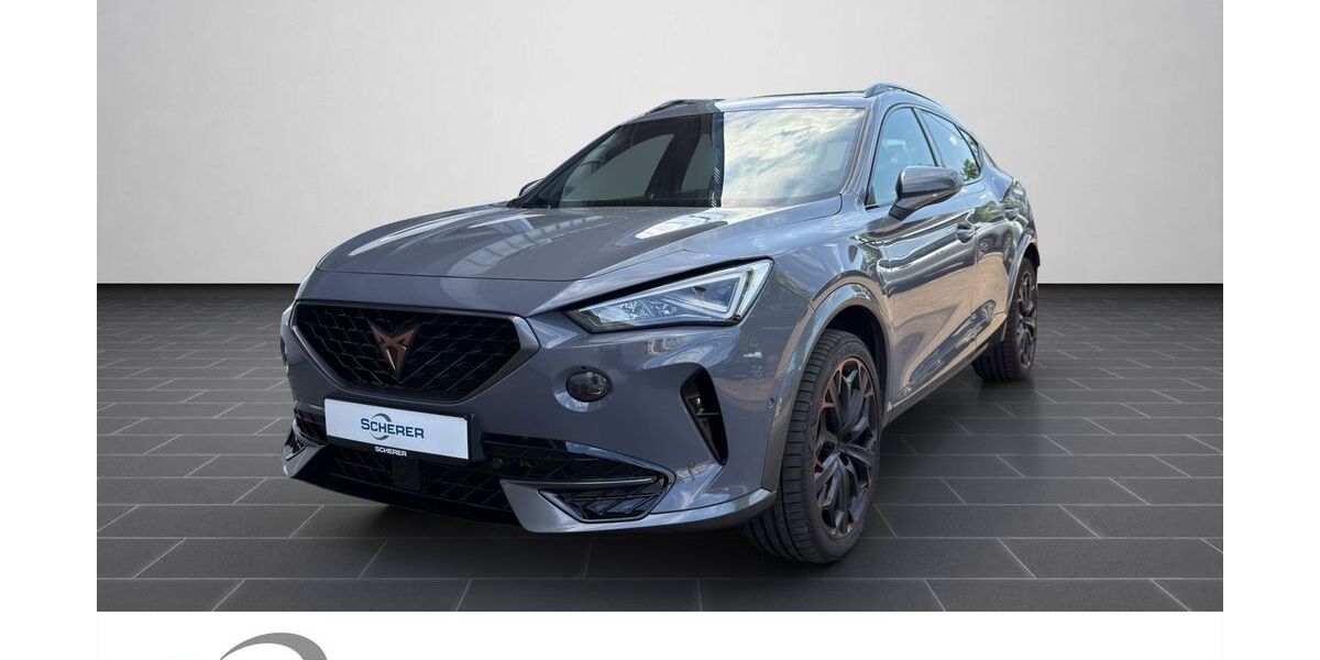 Cupra Formentor 101.242 km 24.900 &euro; Saarbrücken 66115