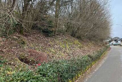 Grundstück Winterbach (Pfalz) - 50.000&euro; | Angebot:19466179