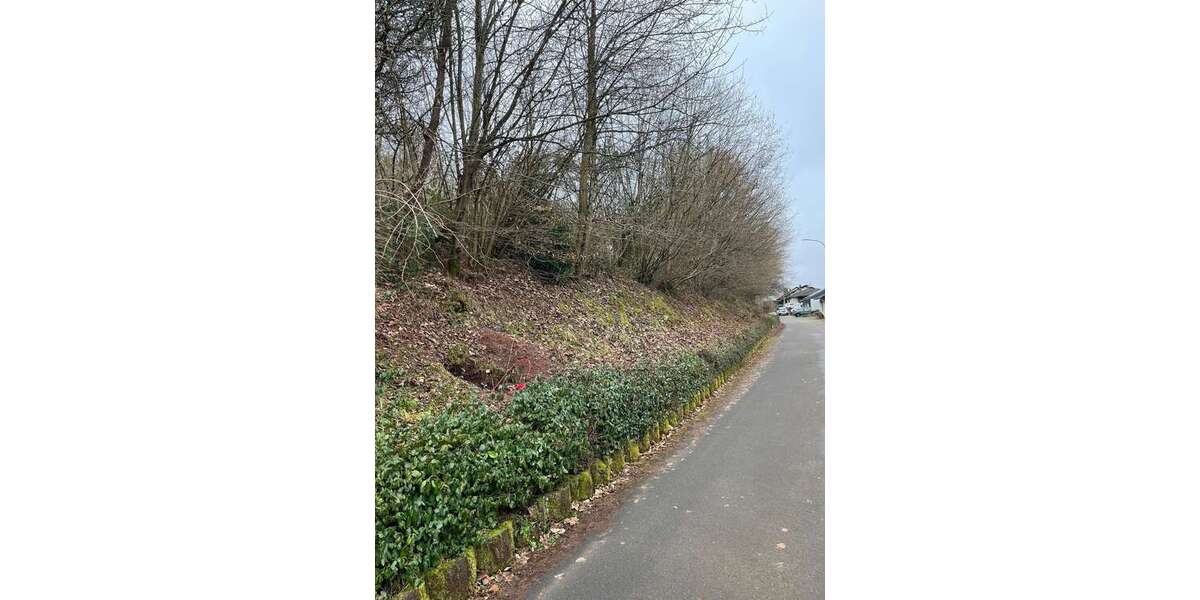 Grundstück Winterbach (Pfalz) - 50.000&euro; | Angebot:19466179