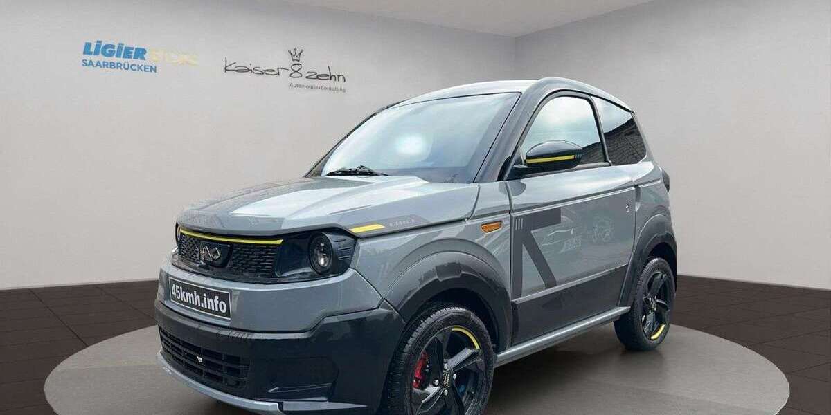 Ligier Myli 1.998 km 19.888 &euro; Saarbrücken 66133