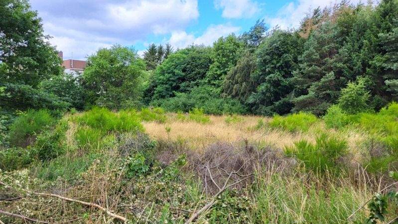 Grundstück Homburg - 690.000&euro; | Angebot:25675533