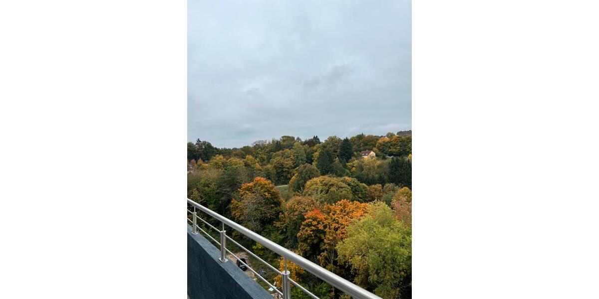 Etagenwohnung Pirmasens Niedersimten - 2 Zimmer, 64 m&sup2;, 650&euro; | Angebot:25234831