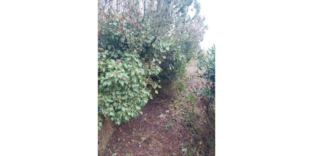 Etagenwohnung Herschweiler-Pettersheim Pettersheim - 2 Zimmer, 73 m&sup2;, 500&euro; | Angebot:25137370