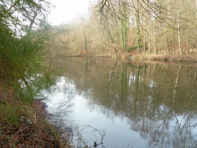 Teichanwesen mitten im Wald Südwestpfalz - Grundstück Biedershausen | Angebot:19798978