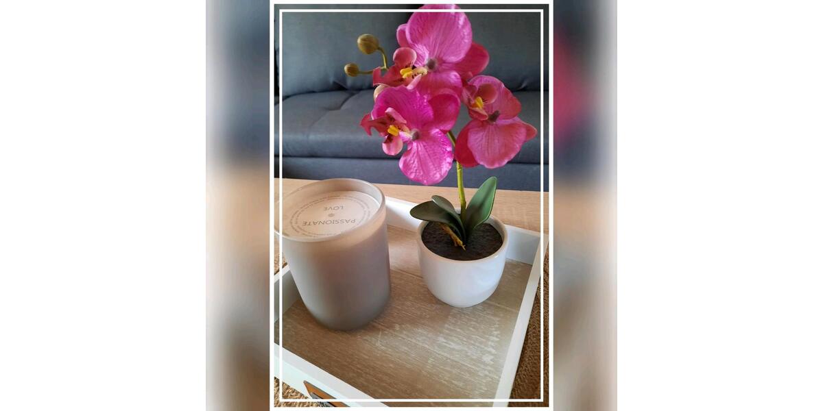 Etagenwohnung Battweiler - 2 Zimmer, 780&euro; | Angebot:22610701