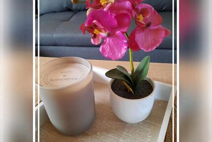 Wohnung Battweiler - 2 Zimmer, 780&euro; | Angebot:22610701