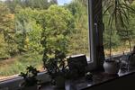 Bungalow Eppelborn - 6 Zimmer, 195 m&sup2;, 379.000&euro; | Angebot:27528306
