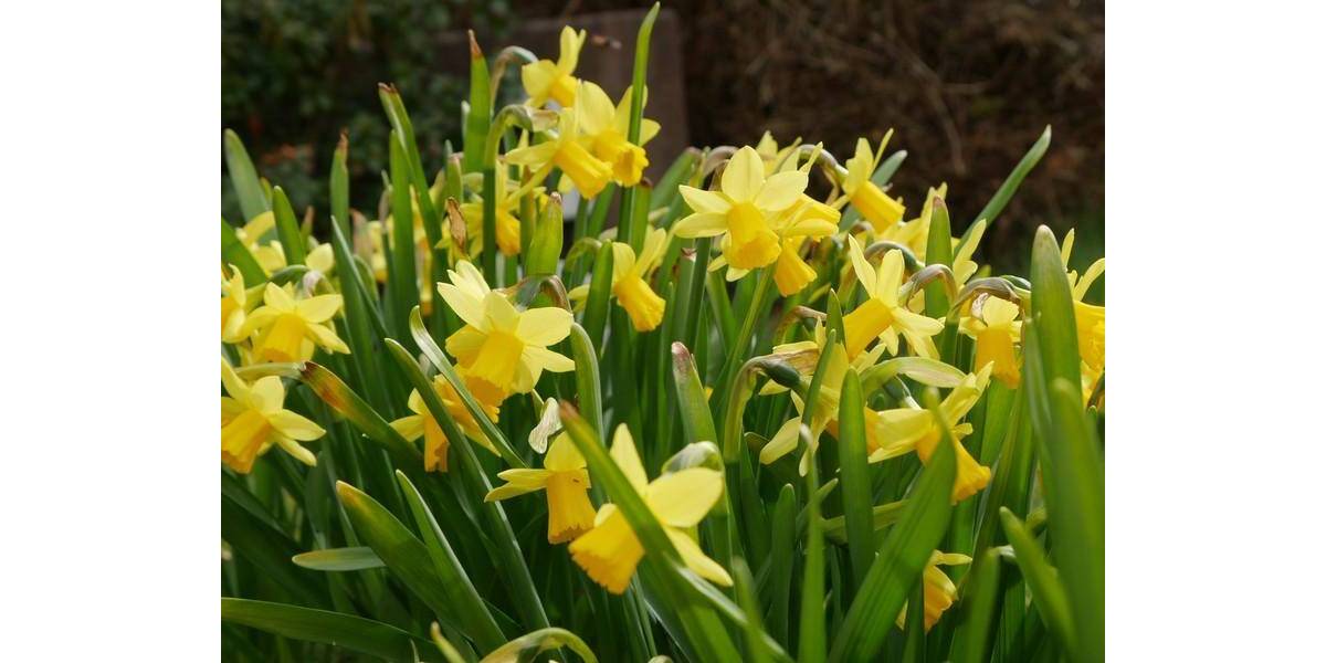 Mehrfamilienhaus, Wohnhaus Pirmasens Gersbach - 8 Zimmer, 190 m&sup2;, 199.000&euro; | Angebot:26246221