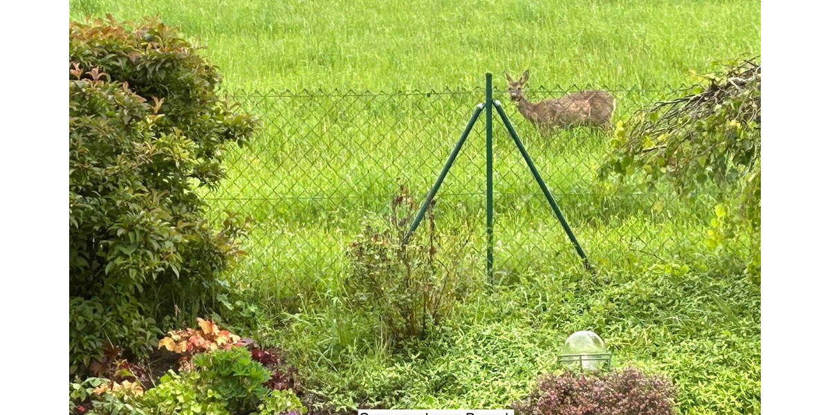 Einfamilienhaus Pirmasens Zweibrücken Nünschweiler - 5 Zimmer, 181 m&sup2;, 495.000&euro; | Angebot:25992803