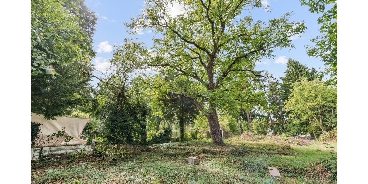 Attraktive Kapitalanlage in St. Ingbert Rohrbach mit 8 modernisierten Appartements - Mehrfamilienhaus, Wohnhaus Sankt Ingbert | Angebot:27302290