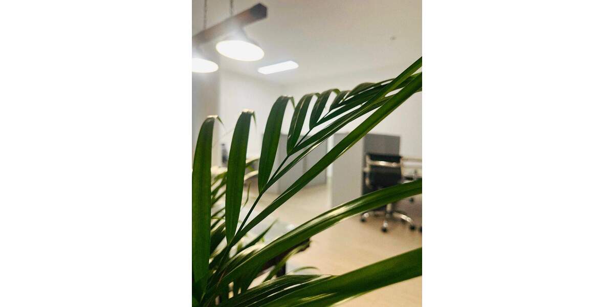 Gewerbeobjekt Saarbrücken St Johann - 199&euro; | Angebot:25824660