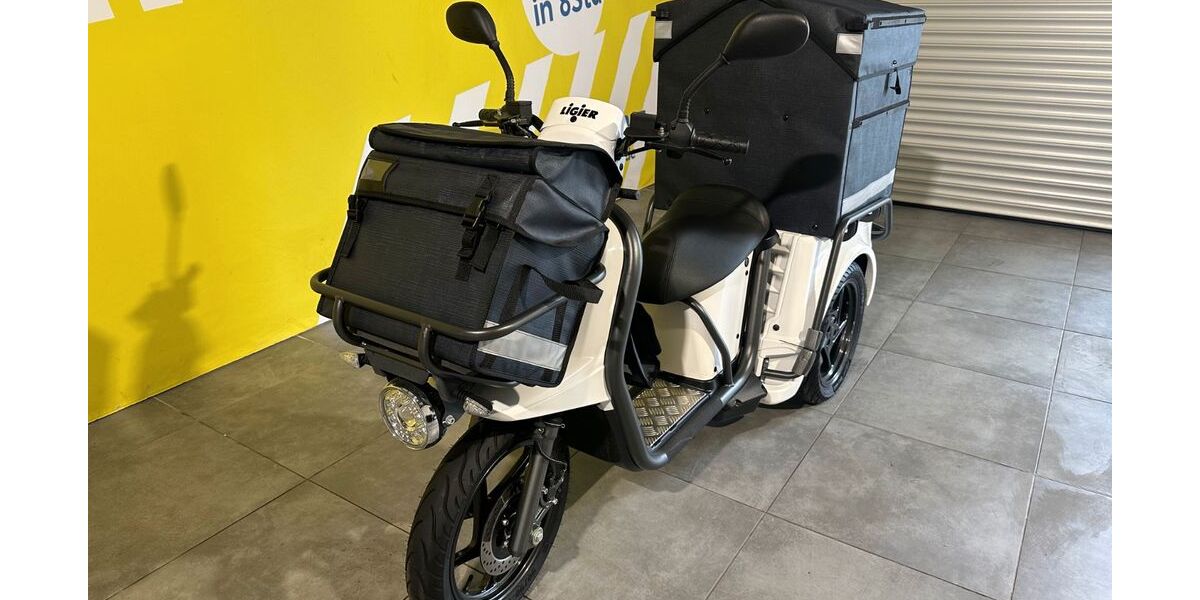 Ligier Andere 55 km 8.492 &euro; Saarbrücken 66133