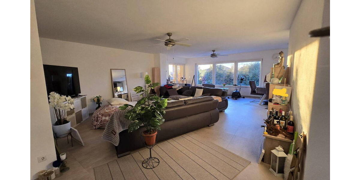 Einfamilienhaus Pirmasens Innenstadt - 6 Zimmer, 300 m&sup2;, 1.300.000&euro; | Angebot:26023380