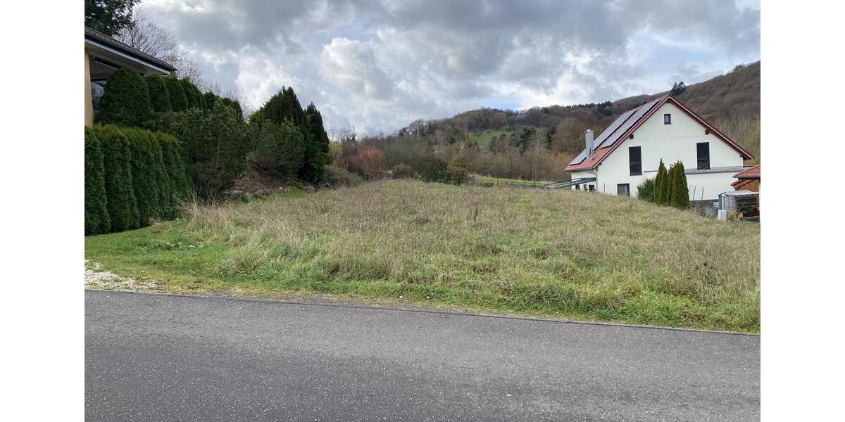 Grundstück Rammelsbach - 30.000&euro; | Angebot:23662017