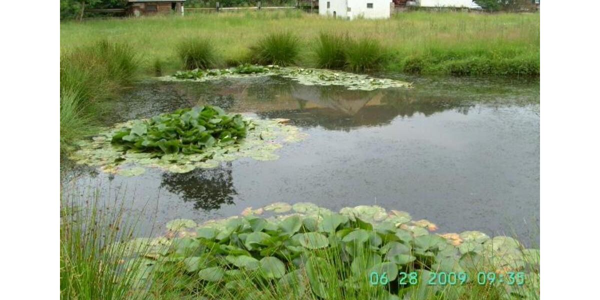 Etagenwohnung Weilerbach - 7 Zimmer, 144 m&sup2;, 880&euro; | Angebot:25943994