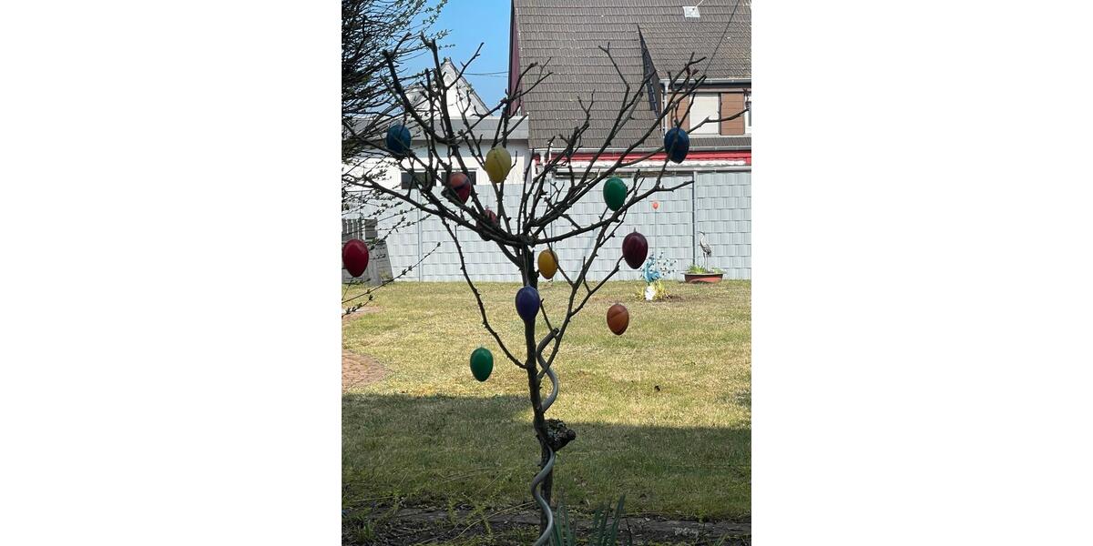 Etagenwohnung Zweibrücken - 5 Zimmer, 120 m&sup2;, 1.200&euro; | Angebot:26039892